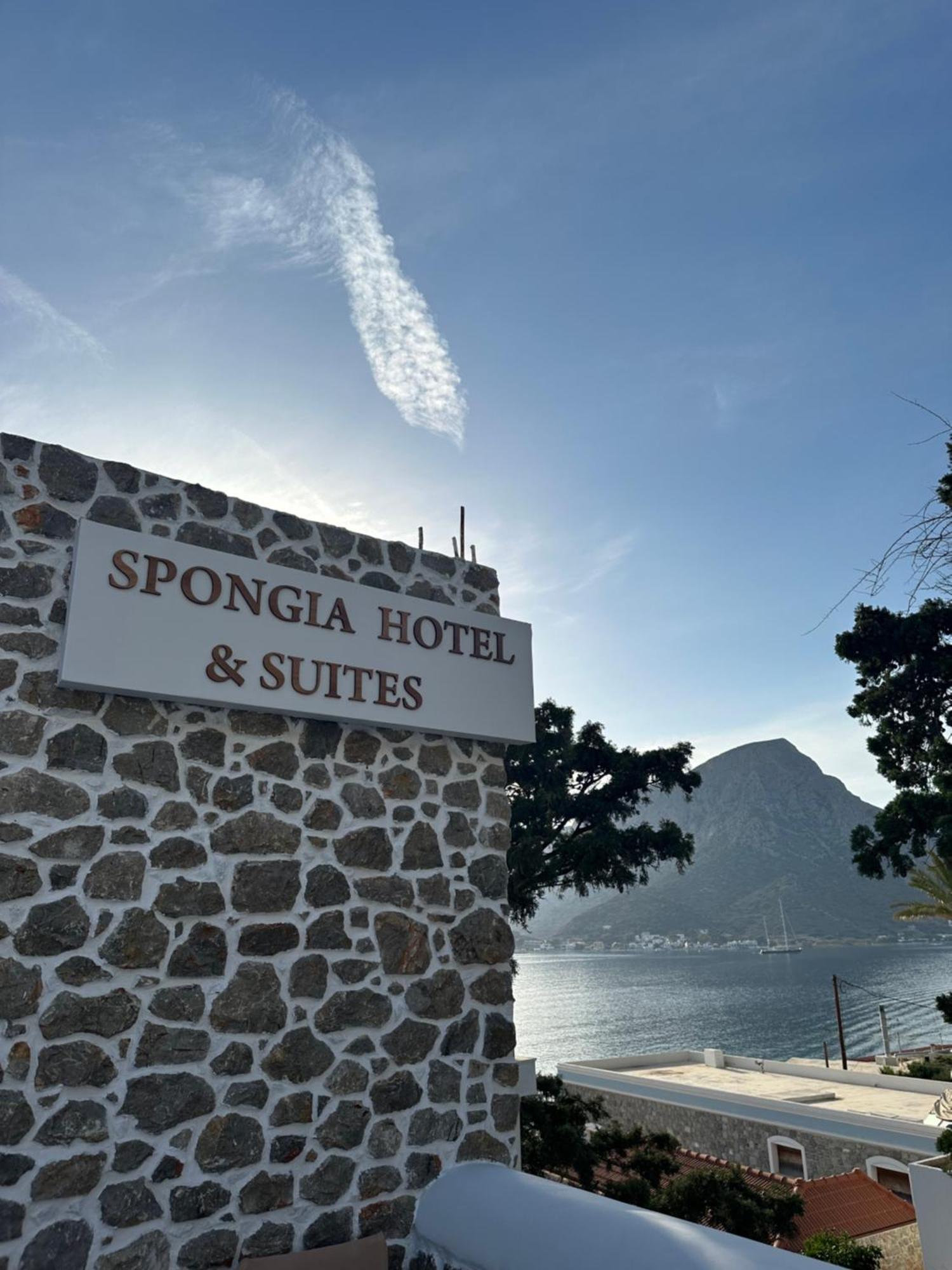 Spongia Hotel Suites & Spa Миртеа Экстерьер фото